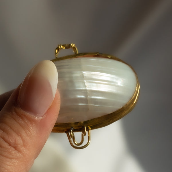 Shell Pill Box
