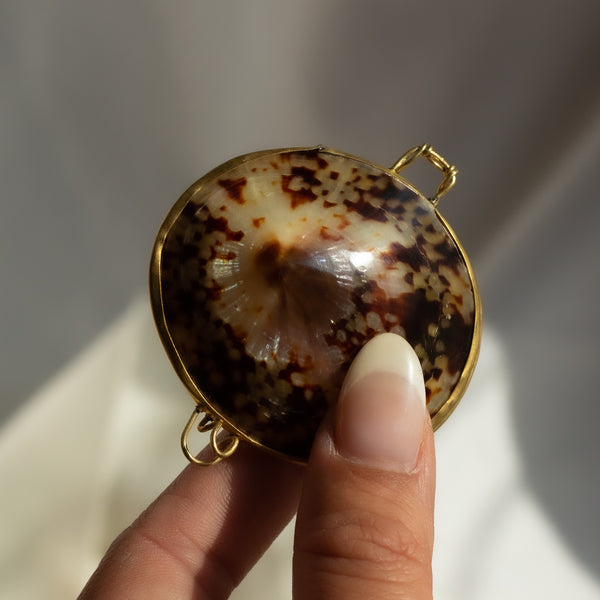 Shell Pill Box