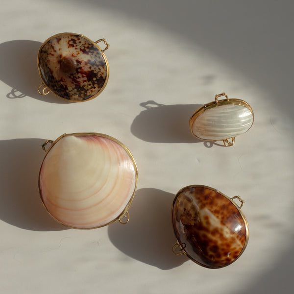Shell Pill Box