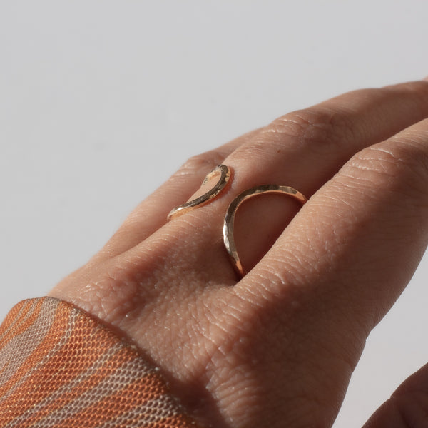 Unity Ring