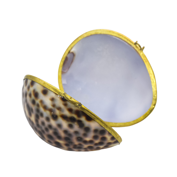 Shell Pill Box
