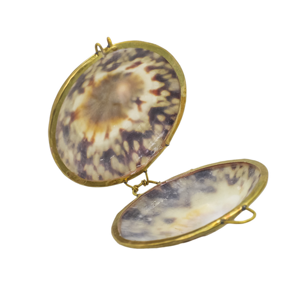 Shell Pill Box