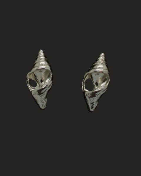 Pair of silver shell-shaped earrings on a dark background