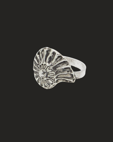 Ammonite Ring 01