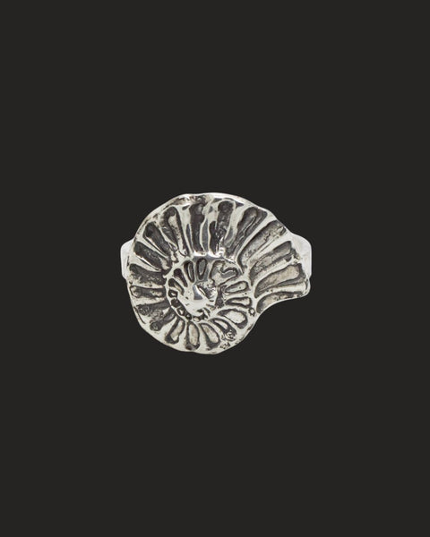 Ammonite Ring 01