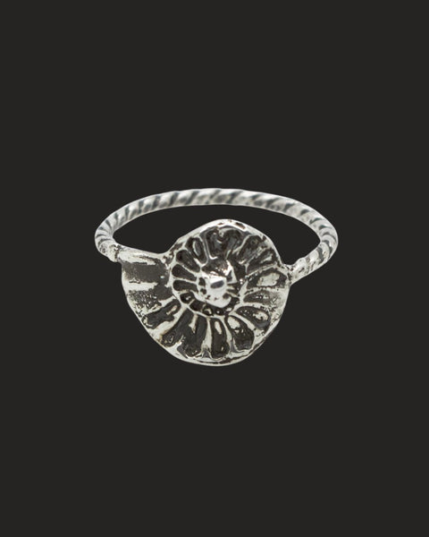 Twisted Ammonite Ring