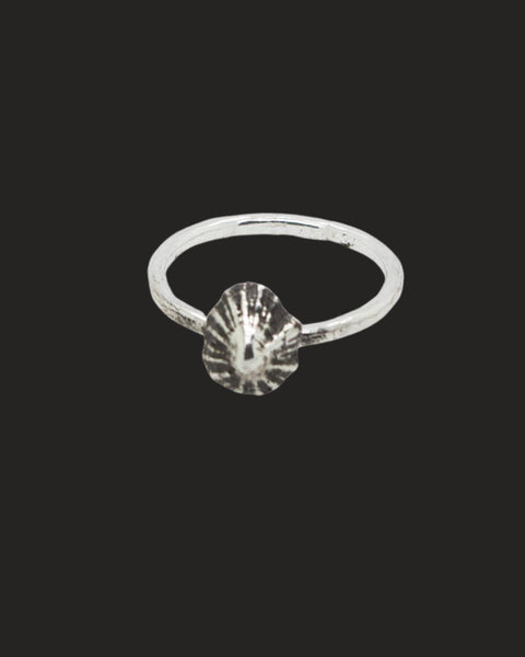 Opihi Ring