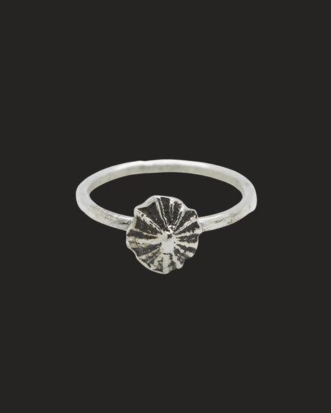Opihi Ring