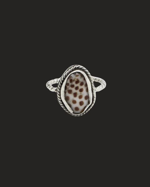Shell Ring Bezel Set